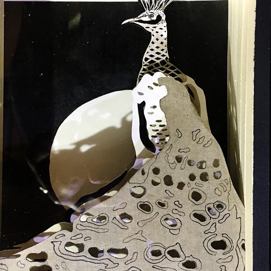 Валерий Гриковский — Страсти по Линнею_22, 2014-2018 (многослойная графика, бумага, тушь, пластик)