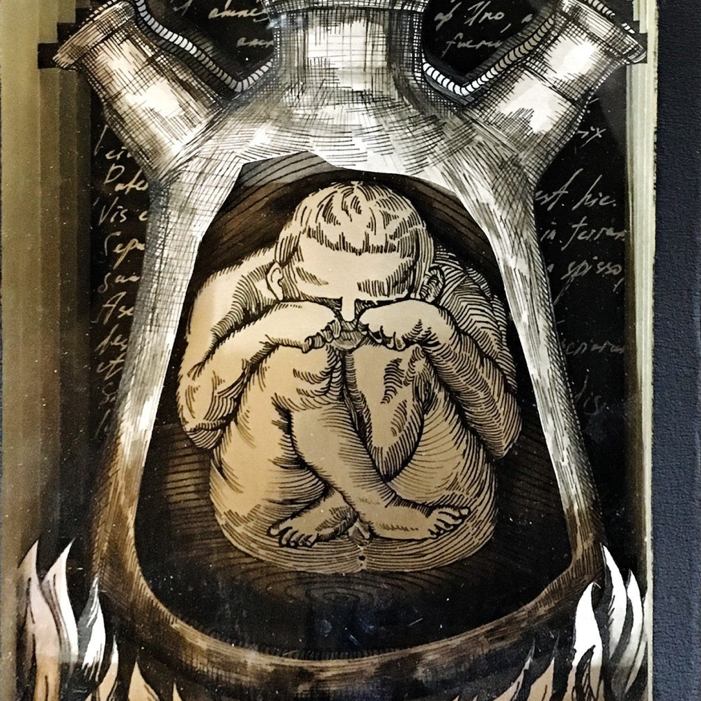 Валерий Гриковский — Страсти по Линнею_3, 2014-2018 (многослойная графика, бумага, тушь, пластик)