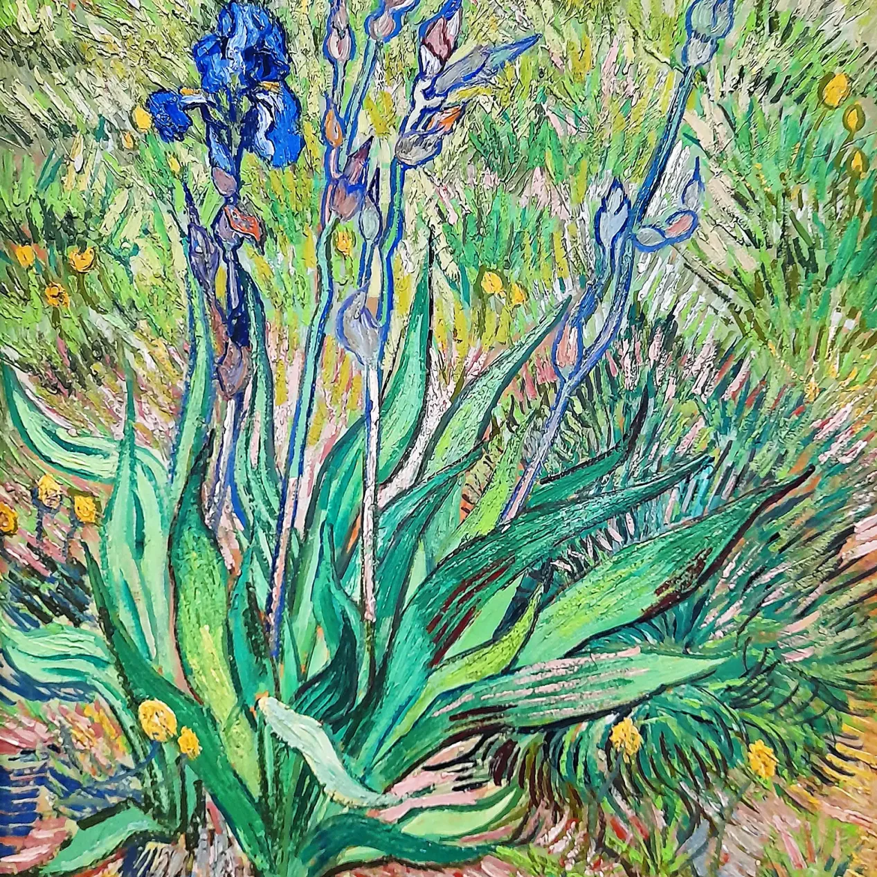 Винсент ван Гог — Ирисы, 1890 (масло на картоне, наклеенном на холст)