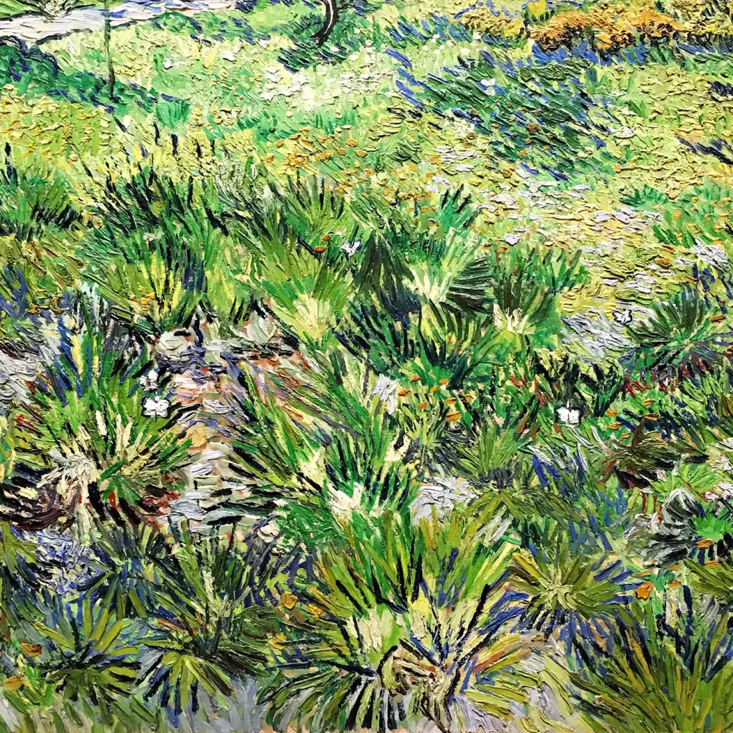 Винсент ван Гог — Высокая трава с бабочками, 1890 (холст, масло)