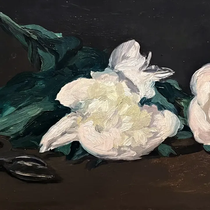 Эдуар Мане — Ветвь белых пионов, 1864 (холст, масло)