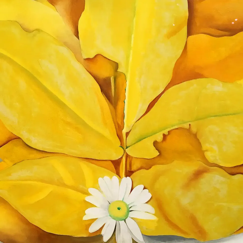 Джорджия О’Киф — Жёлтые листья гикори с маргариткой, 1928 (холст, масло)