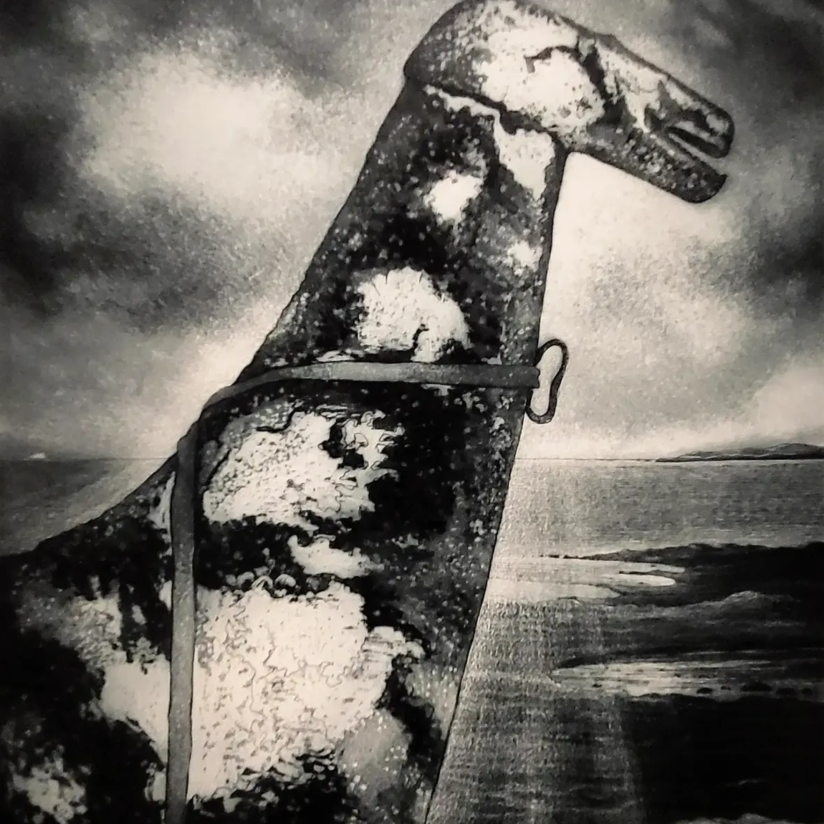 Дэвид Блэквуд — Лошадь Джона Стокса, мыс Фрилс, 2007 (офорт и акватинта на бумаге)