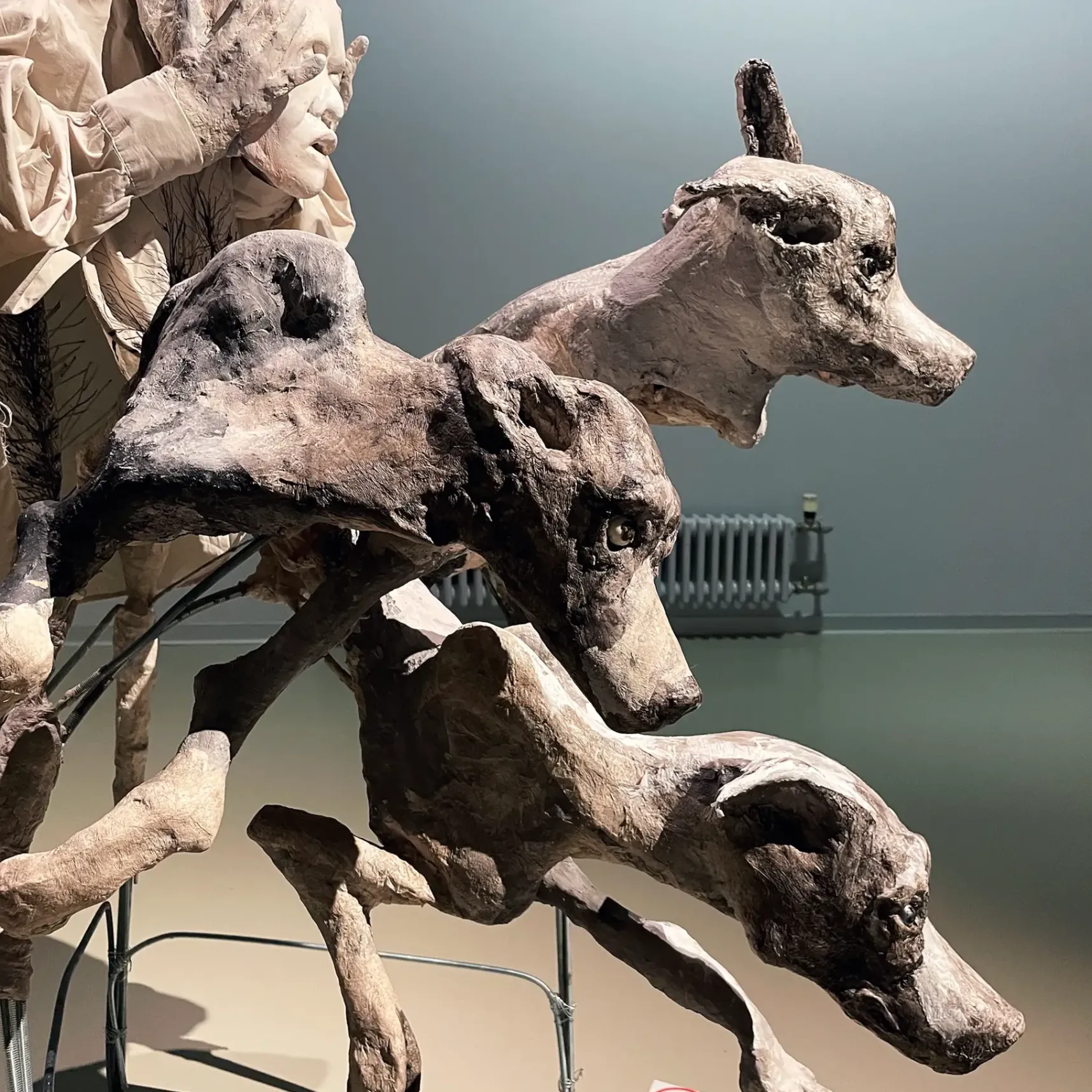 Маша Богораз