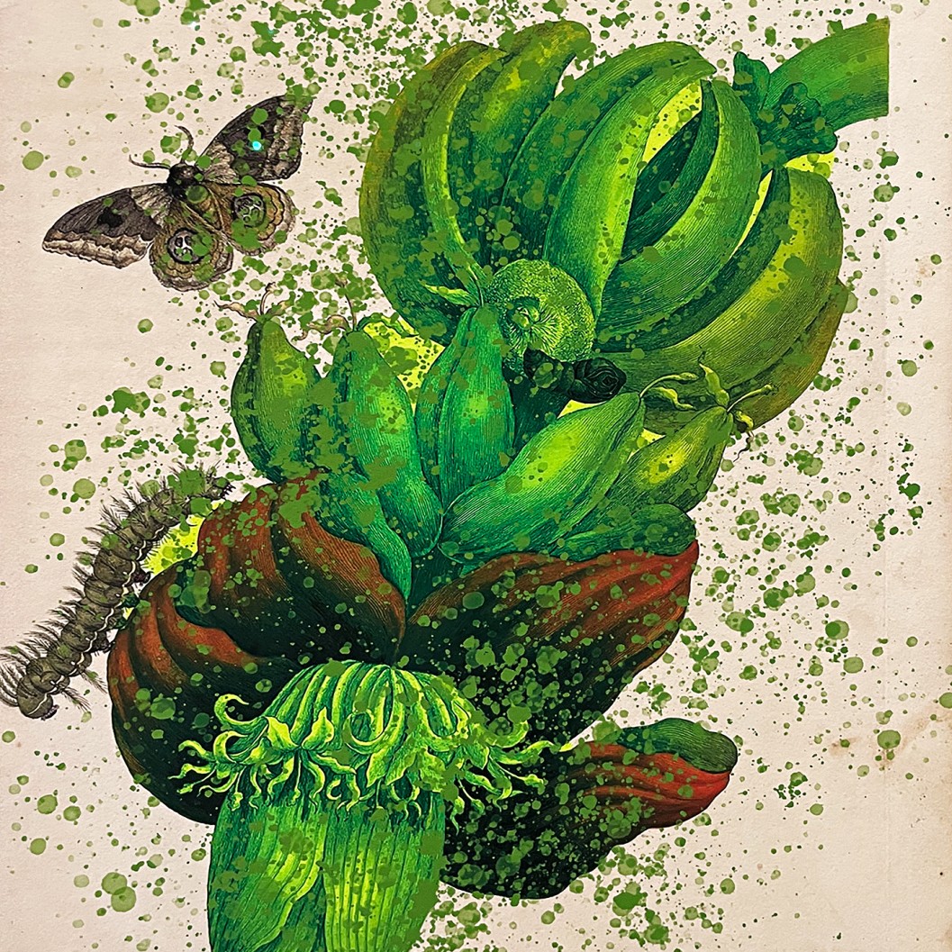 Патриция Каерсенхаут — Сюжет 2, фрагмент, 2021 (цифровая печать на бумаге)