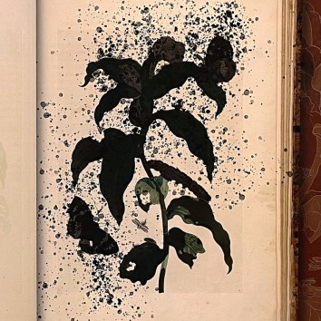 Патриция Каерсенхаут — Сюжет 7, 2021 (цифровая печать на бумаге)