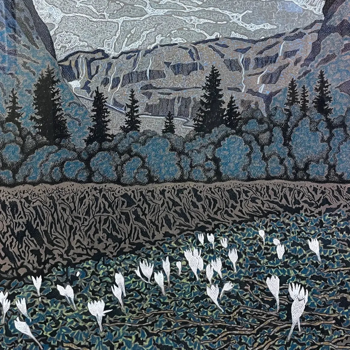 Станислав Дулатов — Хмурый Домбай, 2025 (бумага, ретушь, пастель)