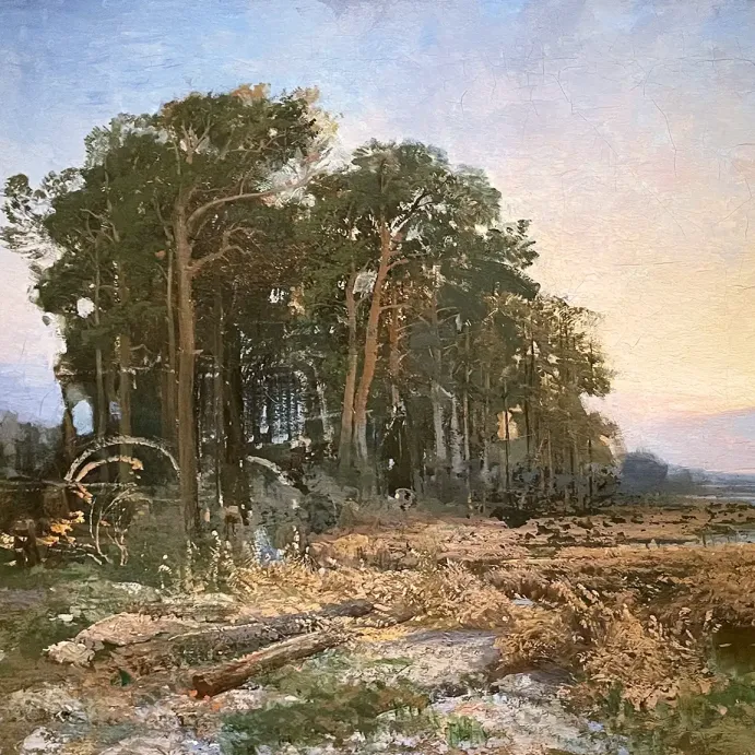 Фёдор Васильев — Сосновая роща у болота, 1871 (холст, масло)