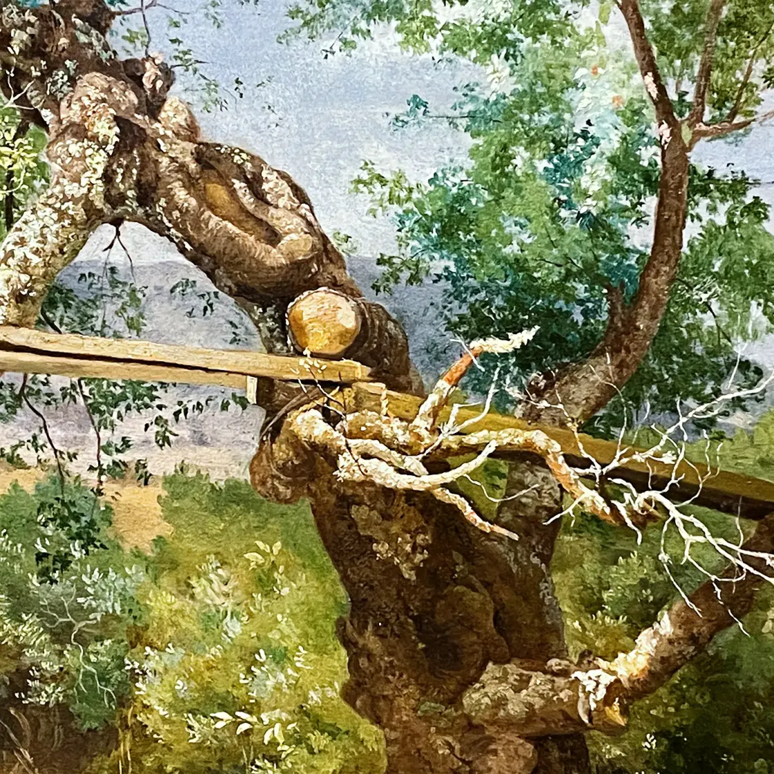 Хосе Мария Веласко — Деревянный мост в Сан-Анджеле, фрагмент, 1862 (масло, холст)