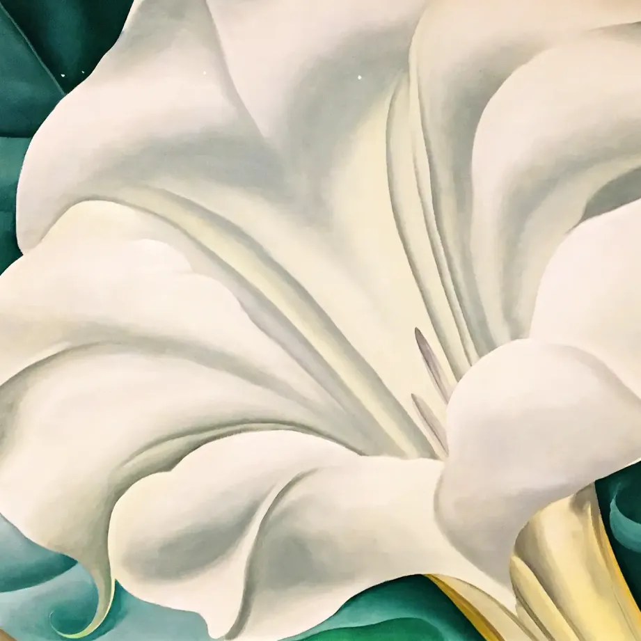 Джорджии О’Киф — Белый цветок, 1932 (холст, масло)